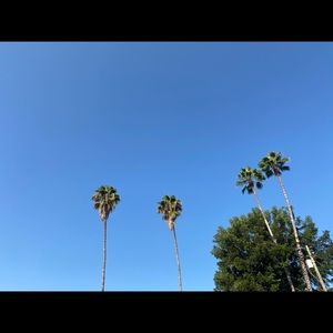 Meet your Posher, Erick